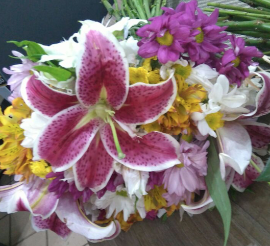 Floricultura Recanto das Emas Flores Online Isabela Flores