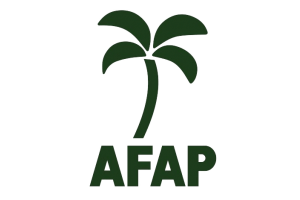 ASSISTENTE ADMINISTRATIVO - AFAP/AP