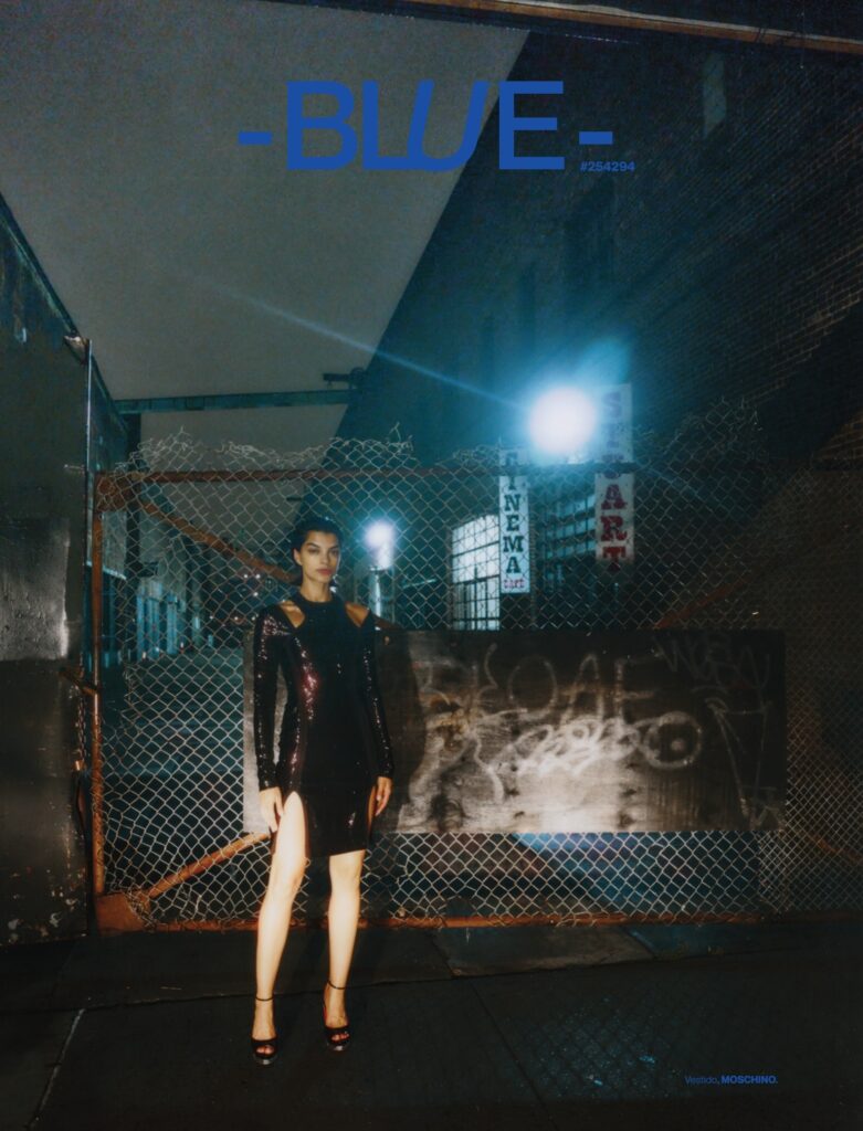 Ford Models Minas Gerais