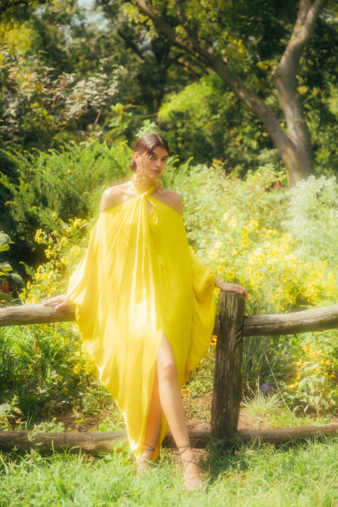 Ford Models Minas Gerais