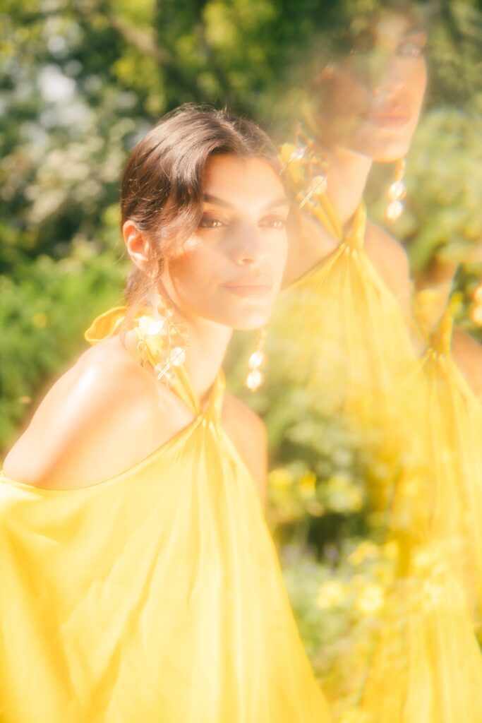 Ford Models Minas Gerais