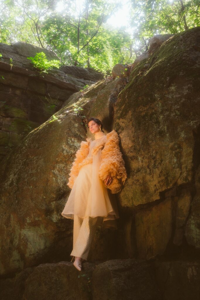 Ford Models Minas Gerais