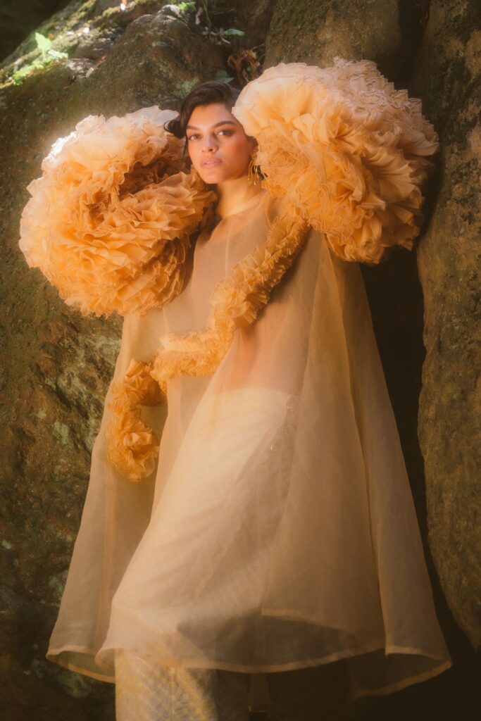 Ford Models Minas Gerais