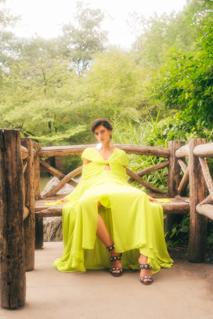 Ford Models Minas Gerais