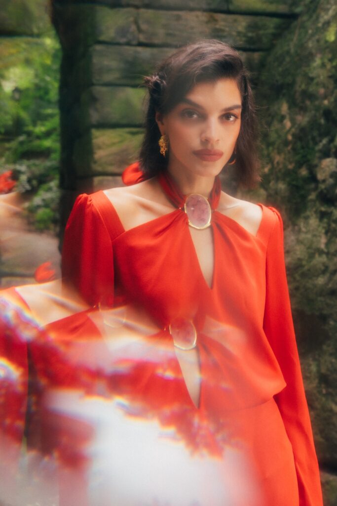 Ford Models Minas Gerais