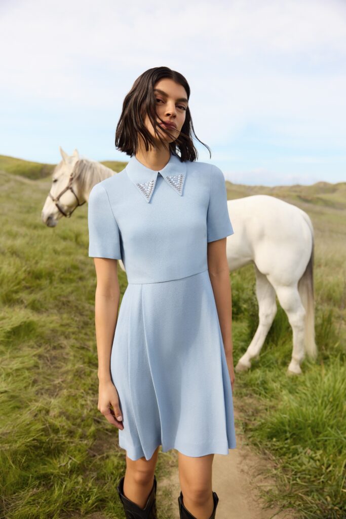 Ford Models Minas Gerais