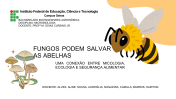 Fungos Podem Salvar as Abelhas