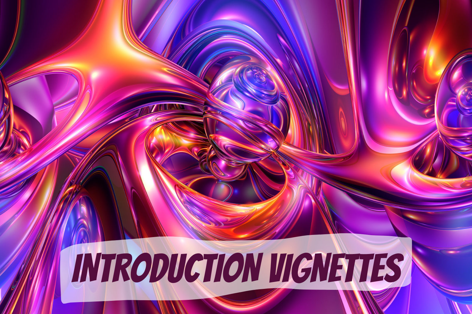INTRODUCTION VIGNETTES