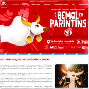 Website Boi Bumbá Garantido