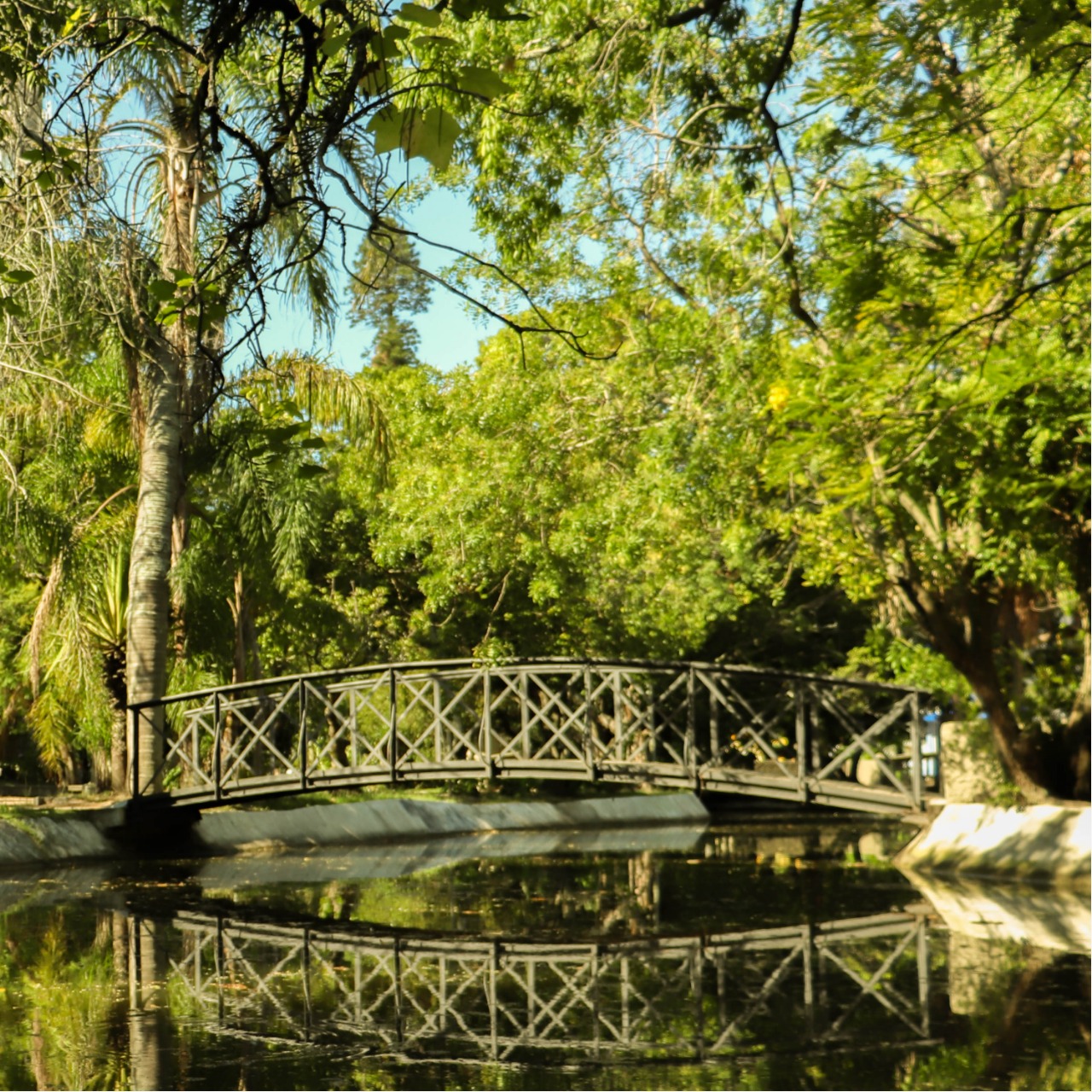 Um lugar na Natureza