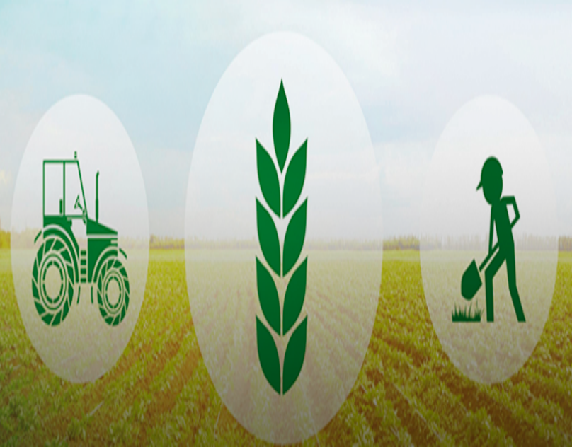 Pequeno Controle Agro