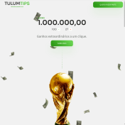Landing Page - Tulum Tips