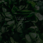 Identidade Visual | Orgânica