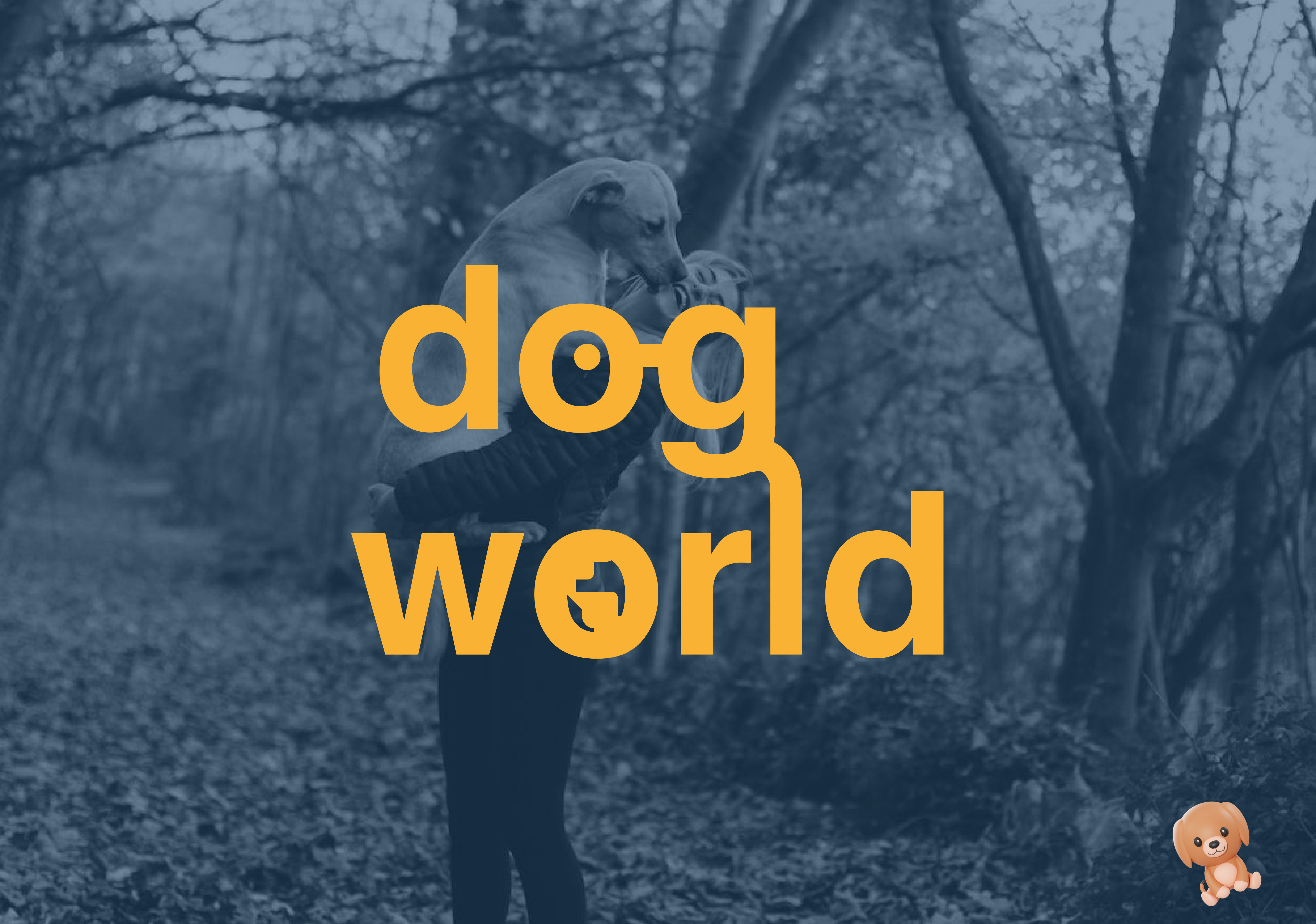 Dog World - marca de agility
