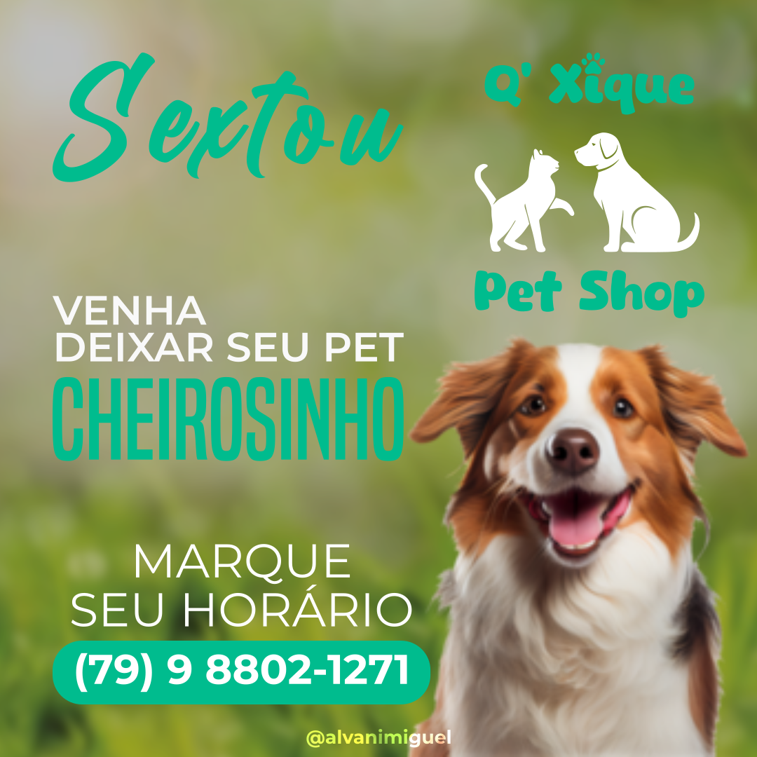 Propaganda para Pet Shop Q' Xique