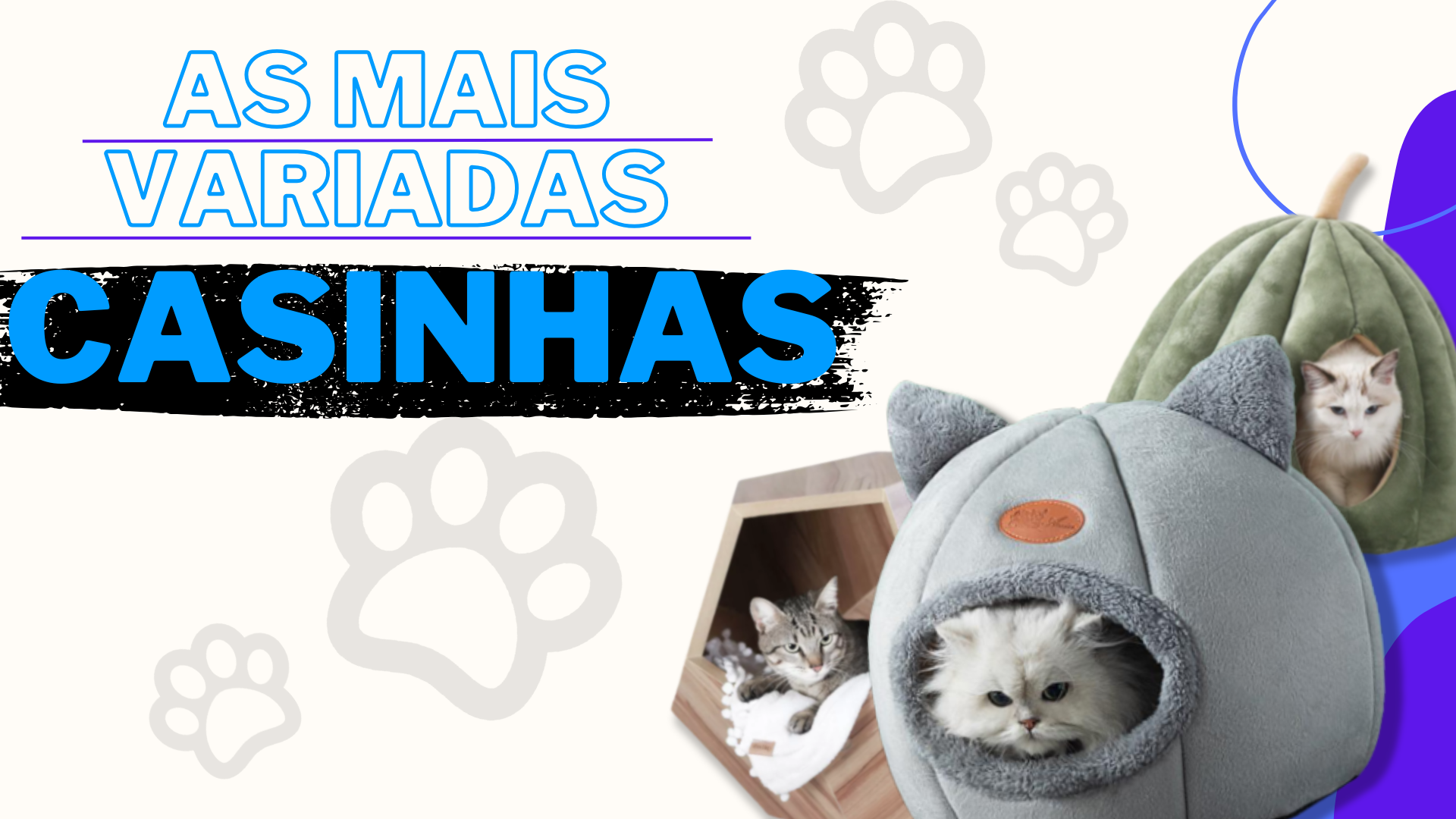 banner para site de pets(gatinhos)