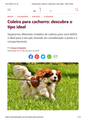 Coleira Para Cachorro: Descubra o Tipo Ideal