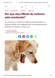 Por Que Meu Filhote de Cachorro Está Vomitando?