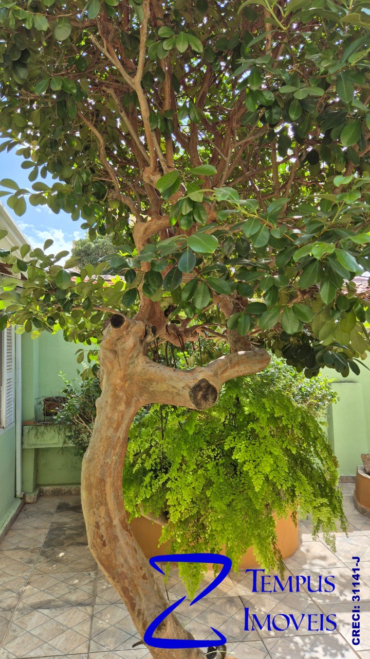 Casa, 3 quartos, 112 m² - Foto 20