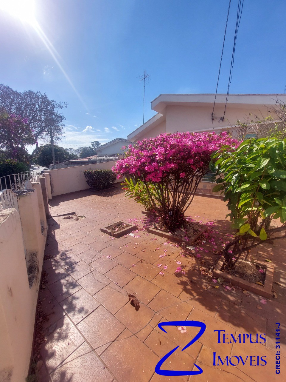 Casa, 3 quartos, 368 m² - Foto 4