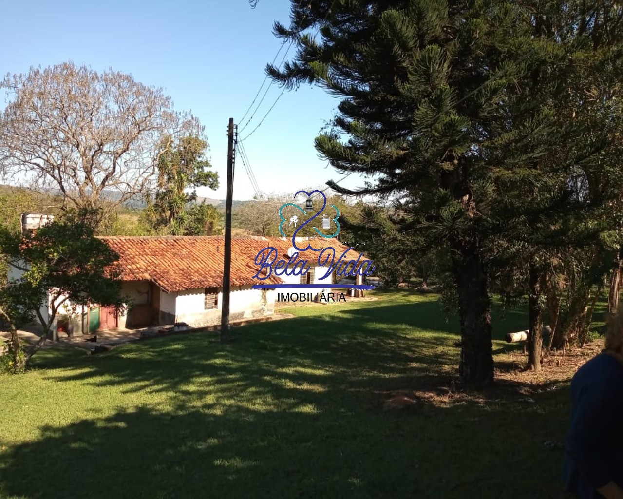 Sítio, 3 hectares - Foto 1