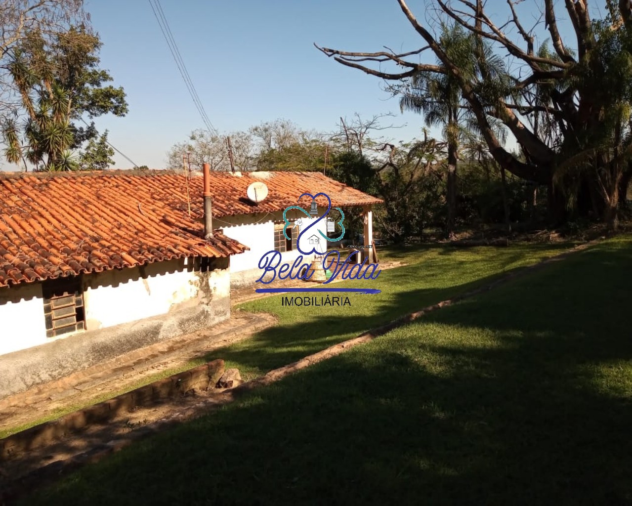 Sítio, 3 hectares - Foto 2