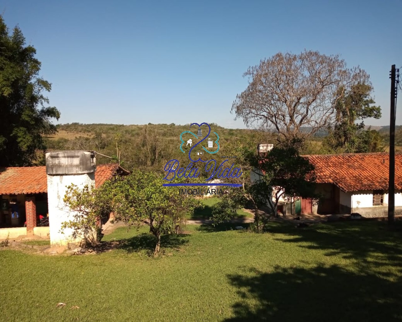 Sítio, 3 hectares - Foto 3