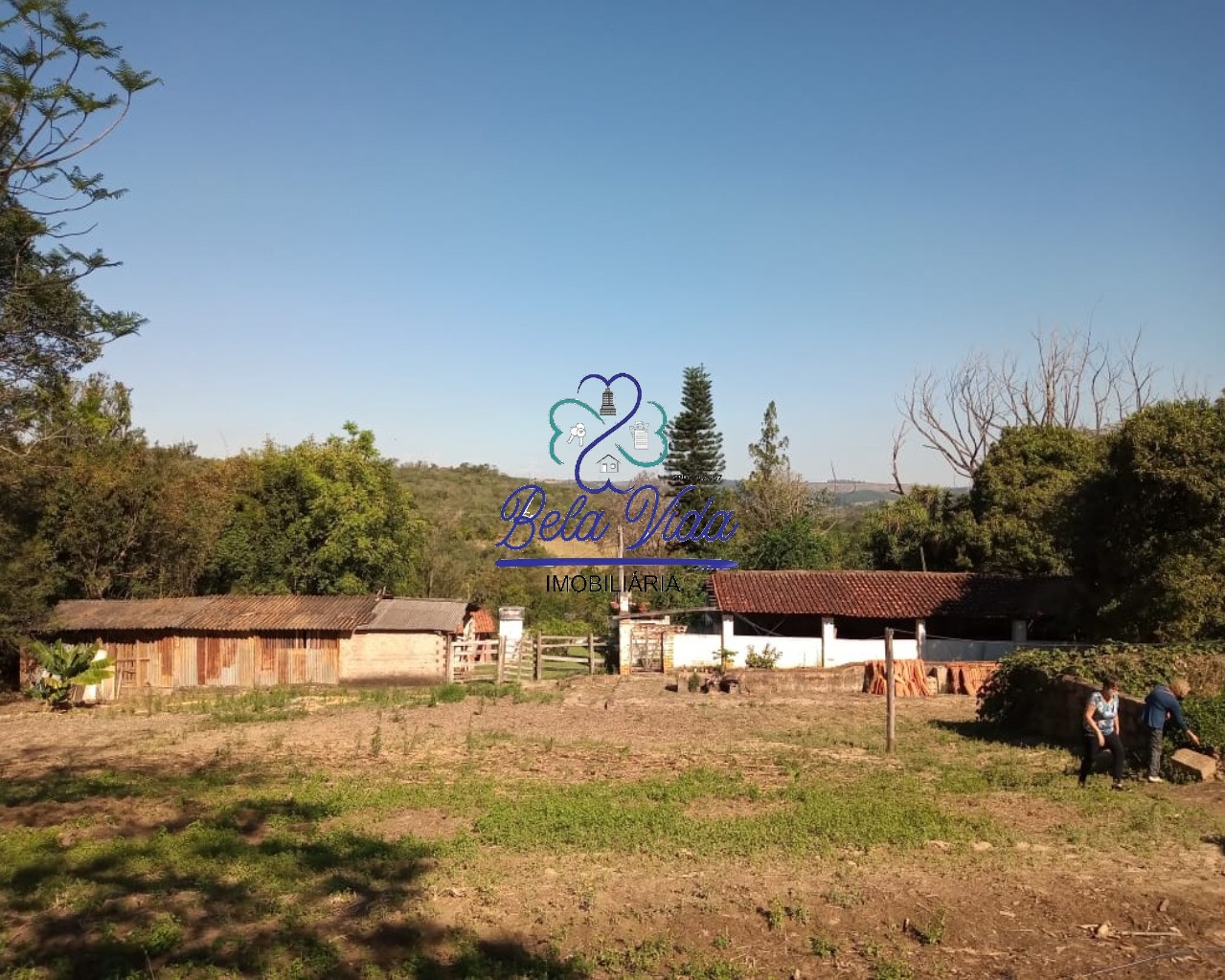 Sítio, 3 hectares - Foto 4