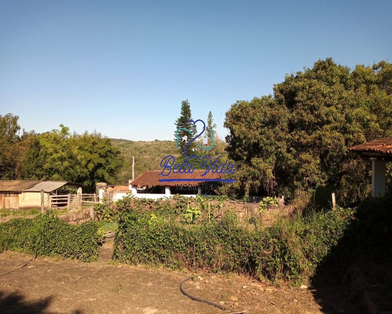 Sítio, 3 hectares - Foto 5