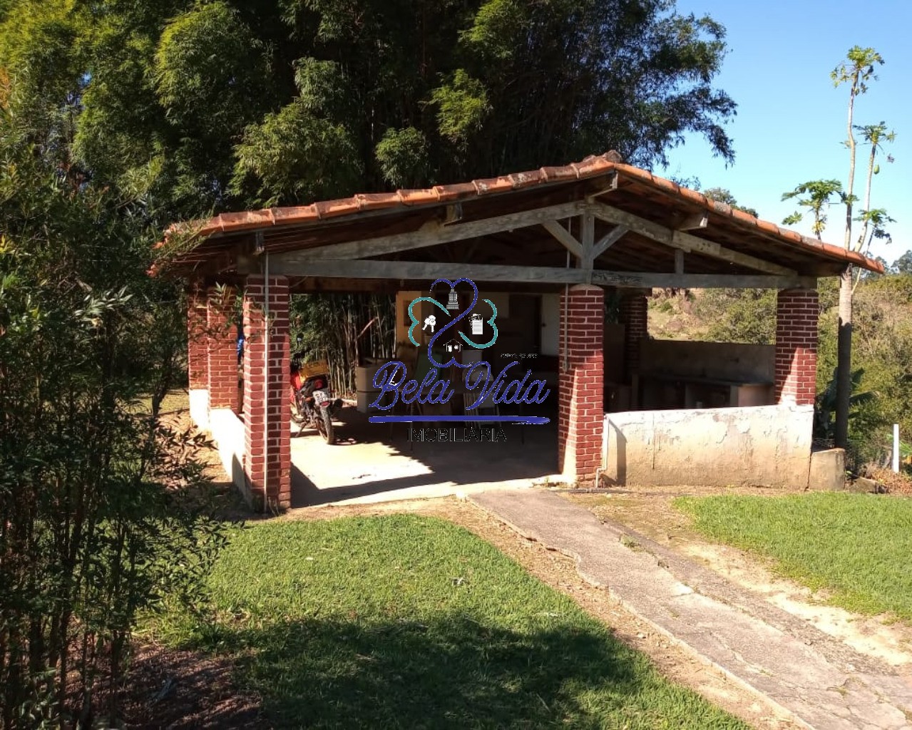 Sítio, 3 hectares - Foto 6