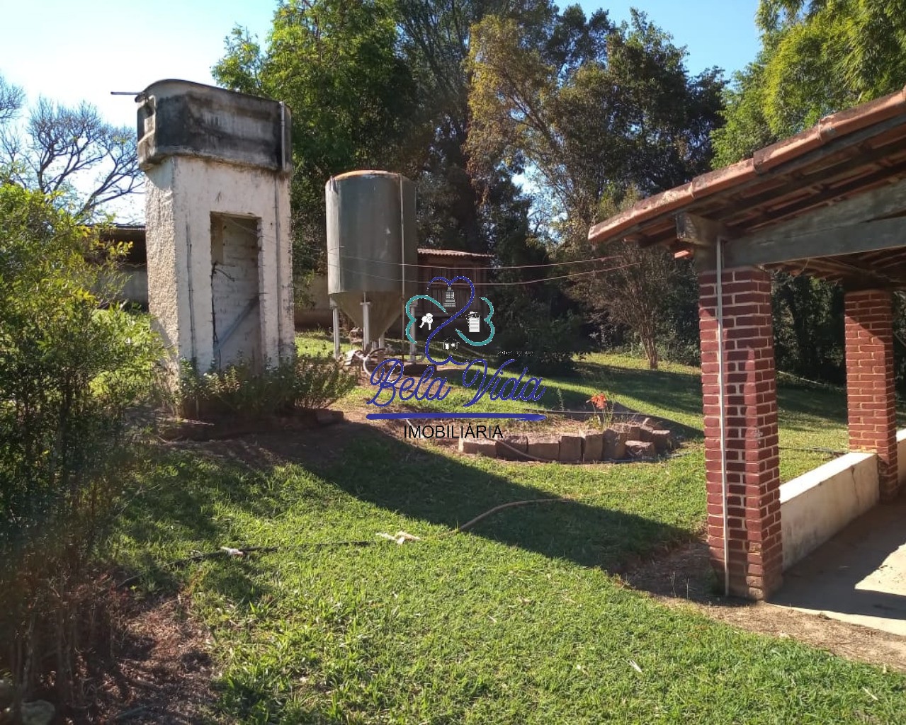 Sítio, 3 hectares - Foto 7