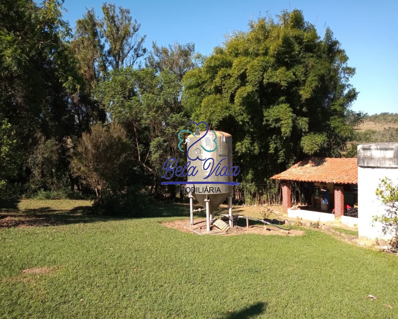 Sítio, 3 hectares - Foto 8