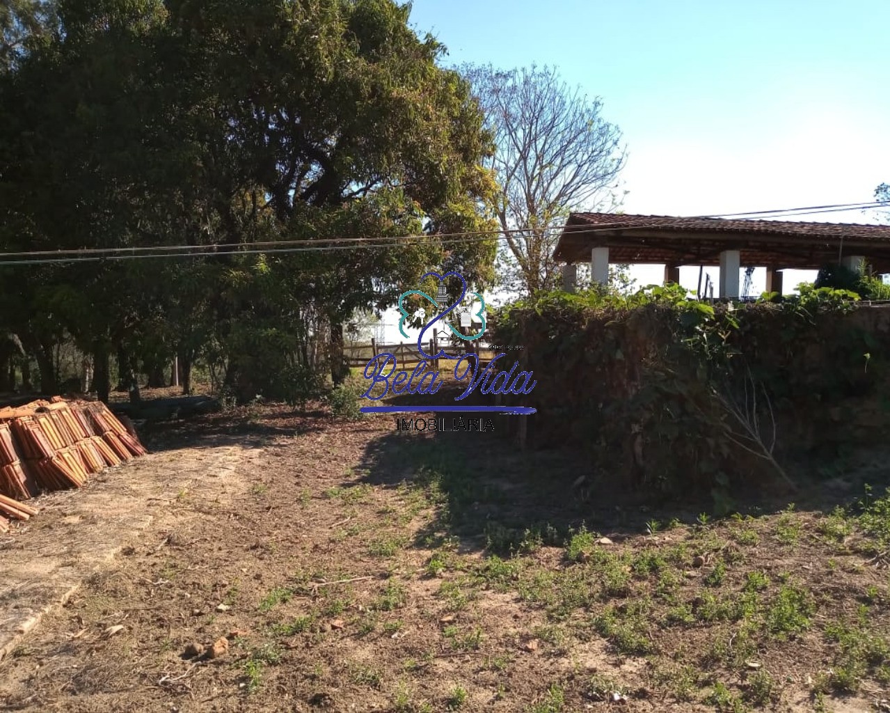 Sítio, 3 hectares - Foto 9