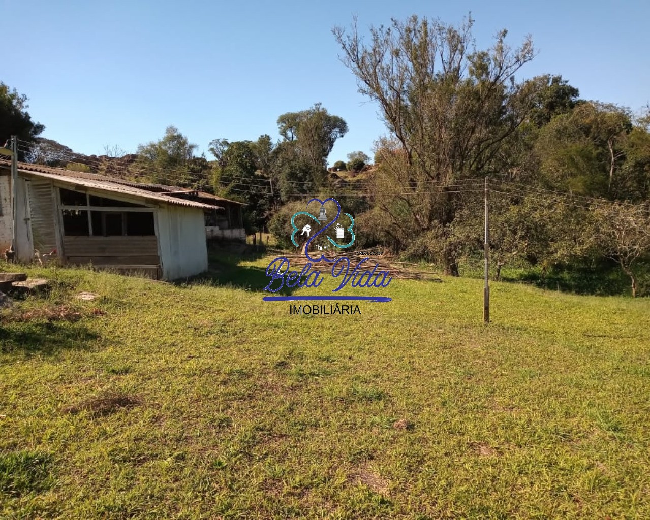 Sítio, 3 hectares - Foto 10