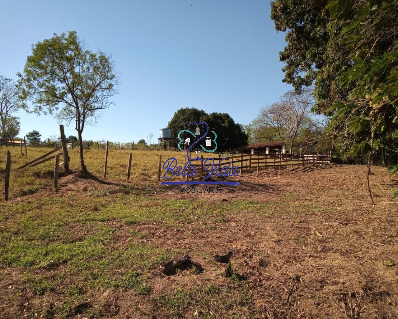 Sítio, 3 hectares - Foto 12