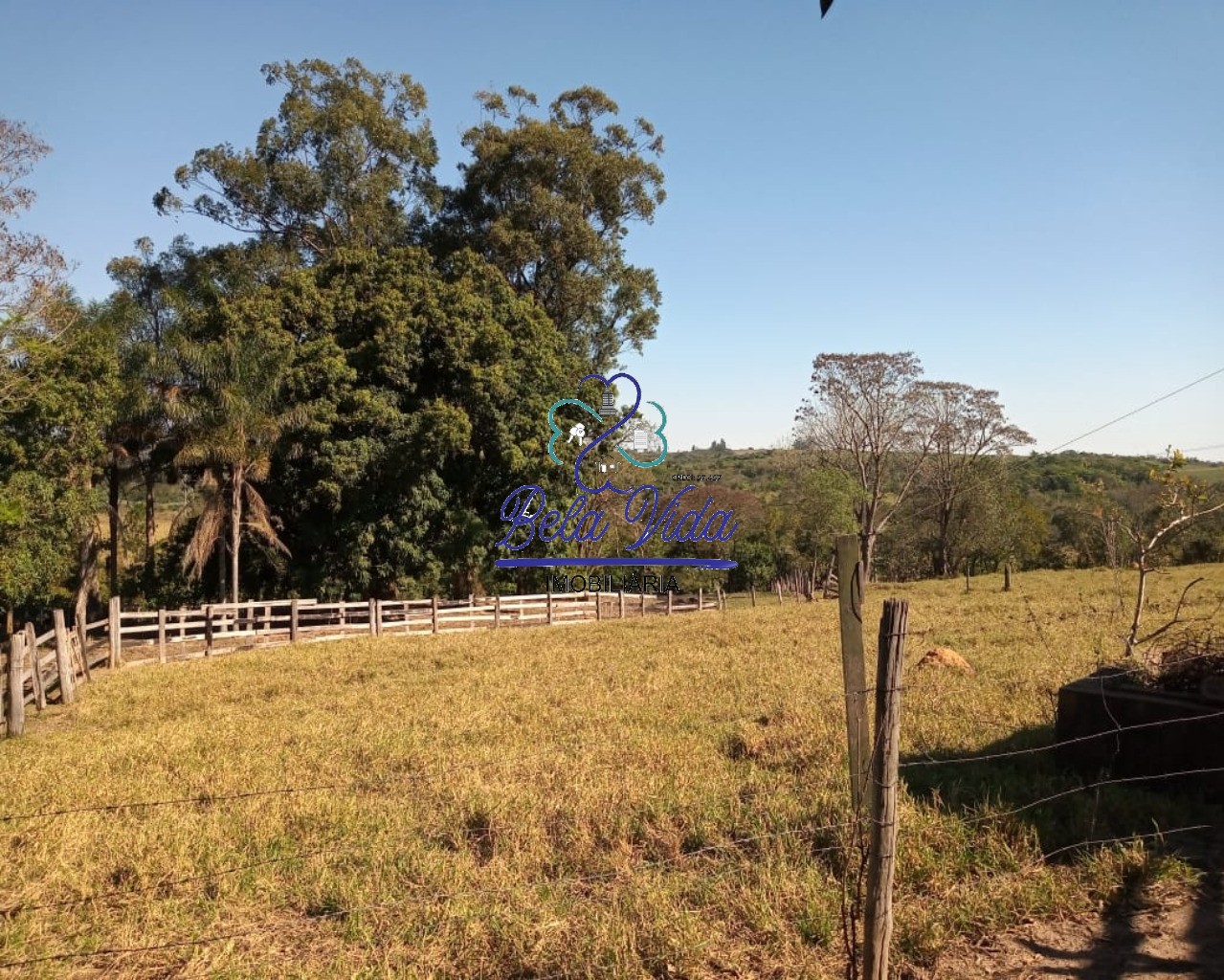 Sítio, 3 hectares - Foto 14