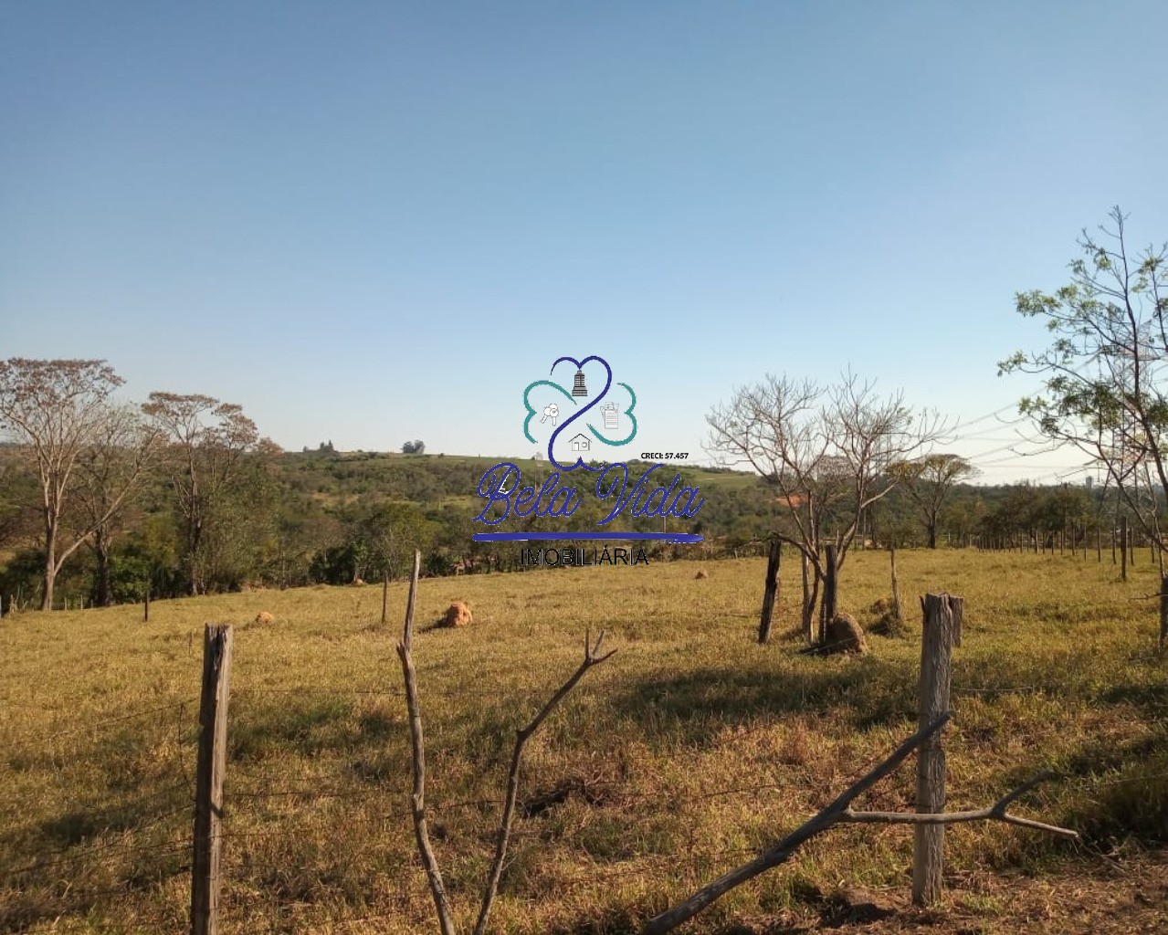 Sítio, 3 hectares - Foto 15