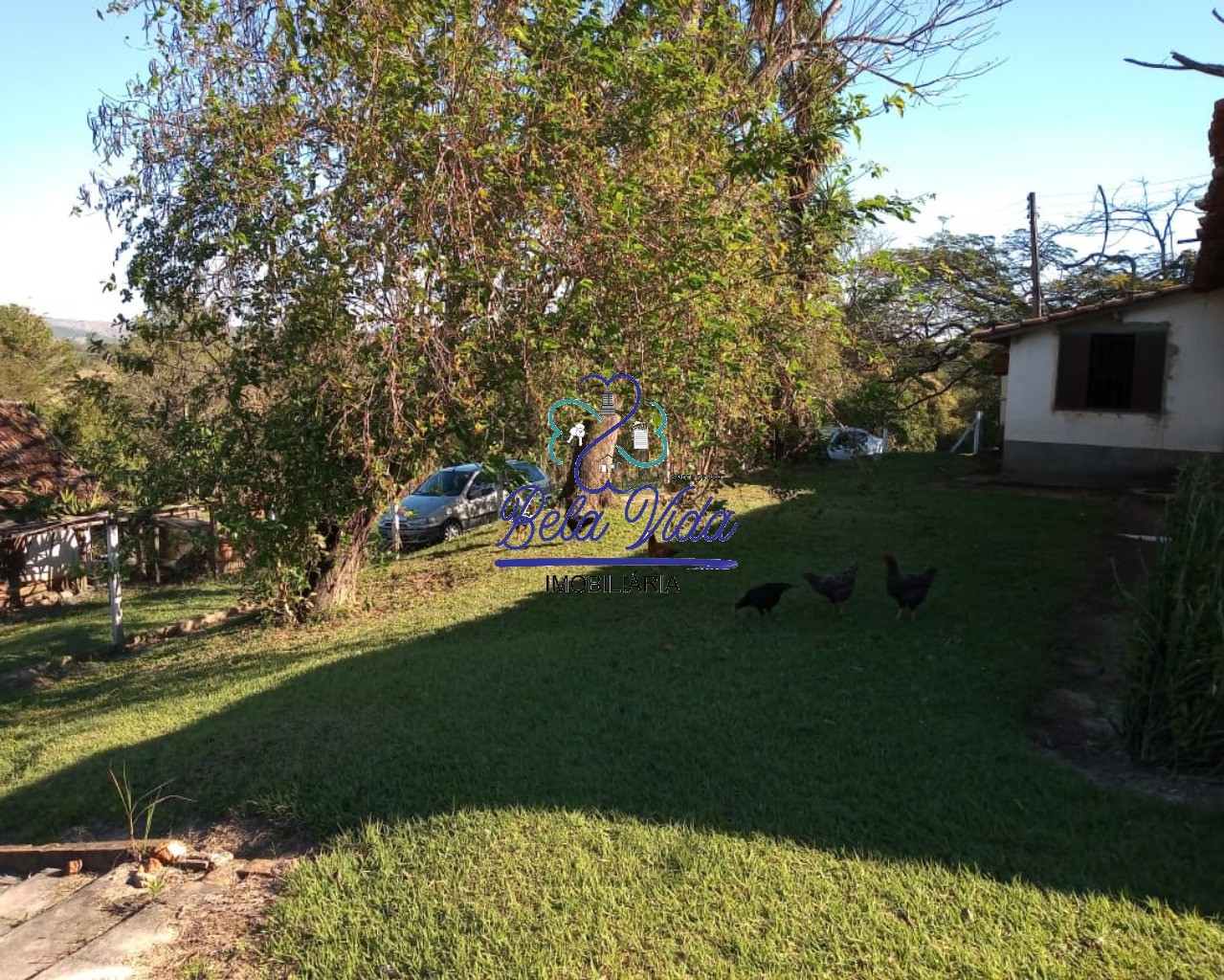 Sítio, 3 hectares - Foto 16