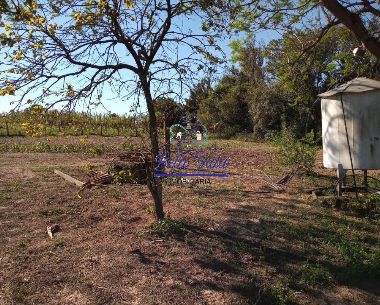 Sítio, 3 hectares - Foto 17