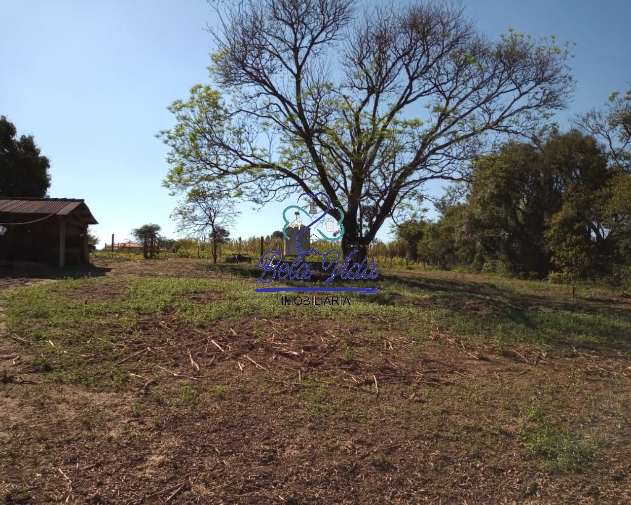 Sítio, 3 hectares - Foto 18