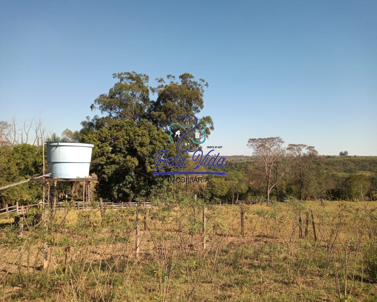 Sítio, 3 hectares - Foto 19