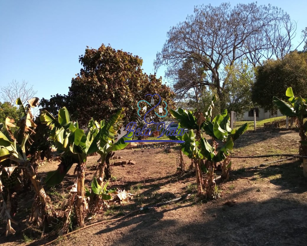 Sítio, 3 hectares - Foto 21