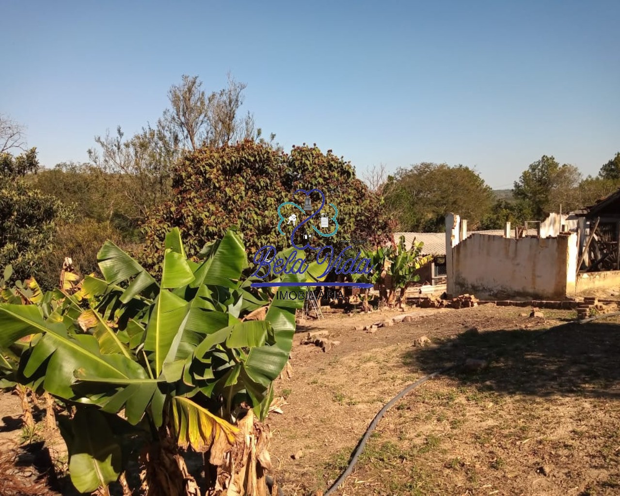 Sítio, 3 hectares - Foto 22