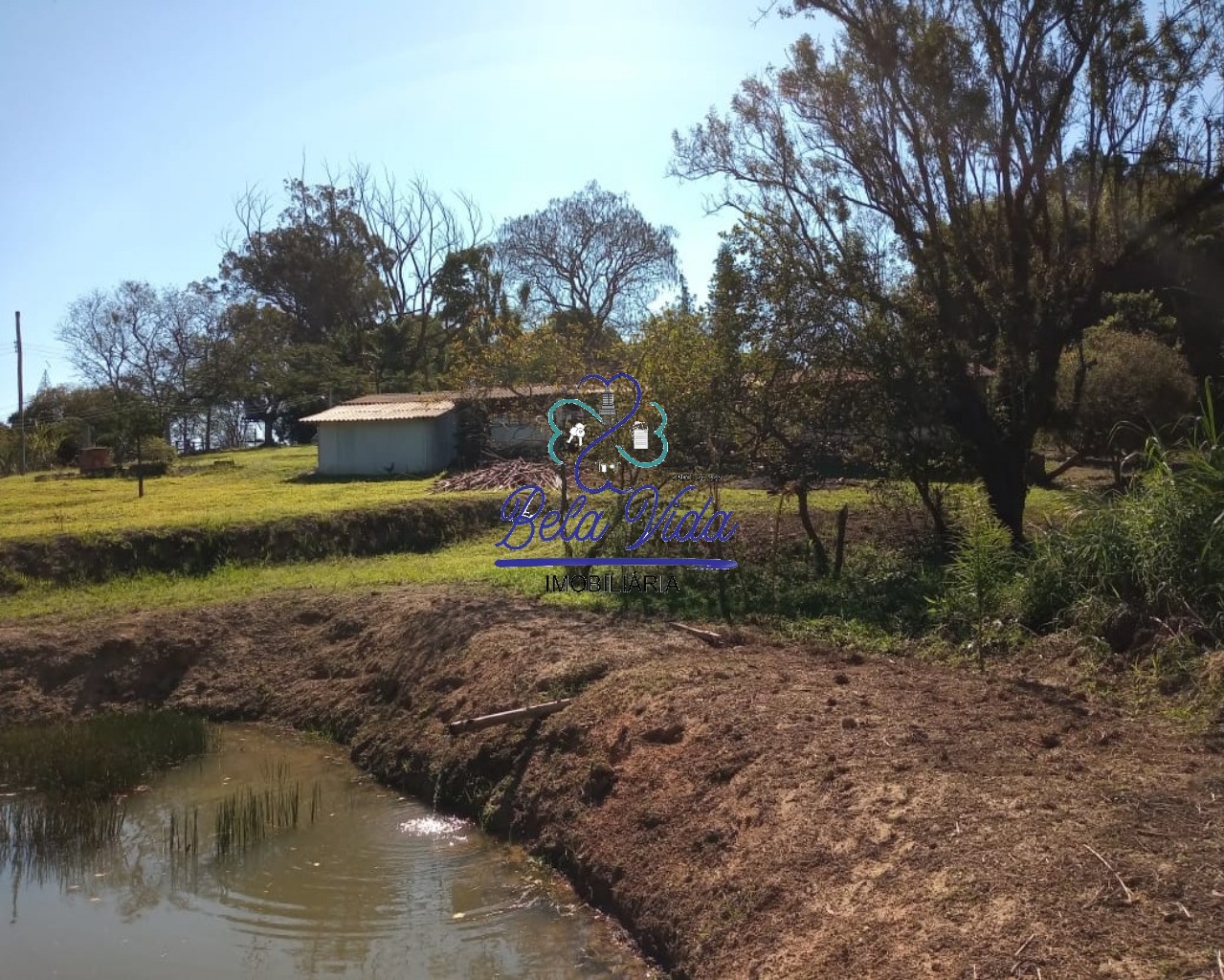 Sítio, 3 hectares - Foto 23