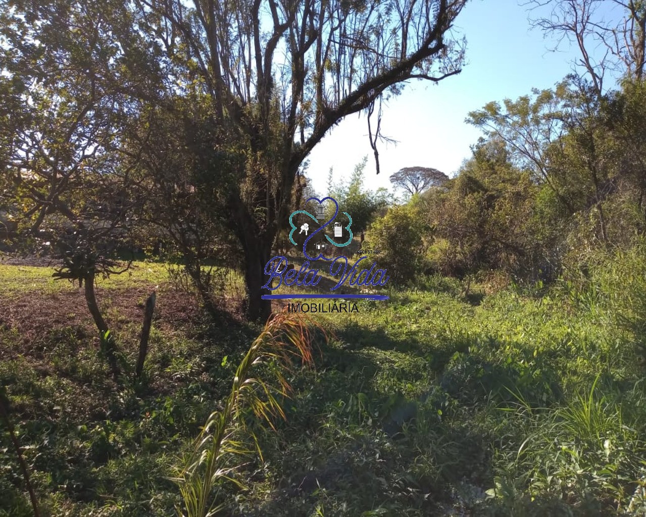 Sítio, 3 hectares - Foto 24