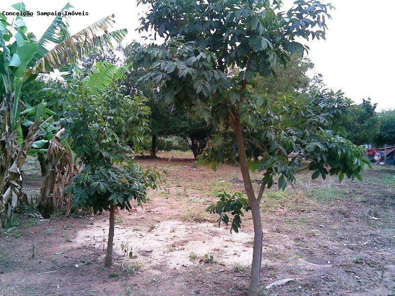 Fazenda, 4 quartos - Foto 17