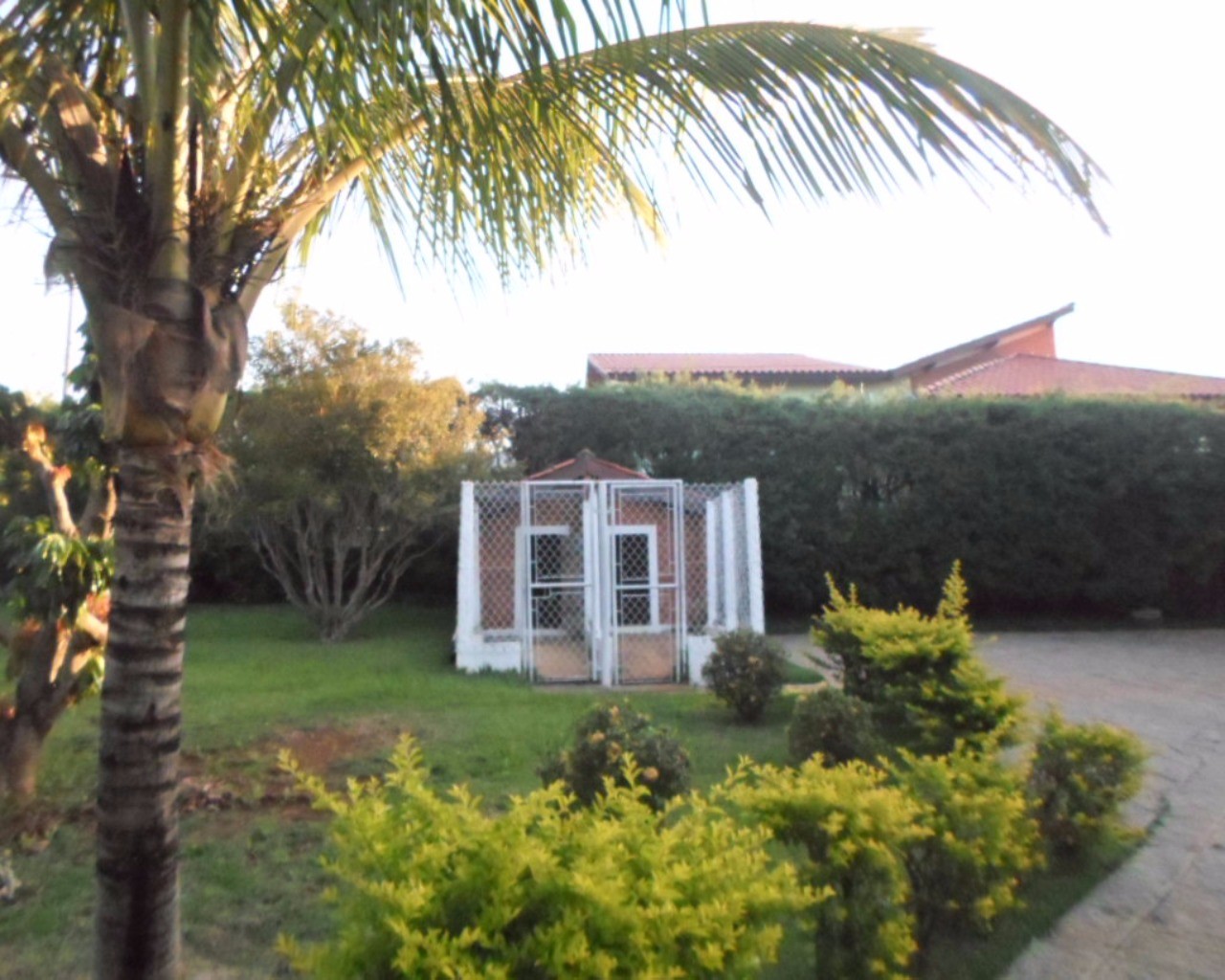 Sítio, 2 quartos, 2000 m² - Foto 3