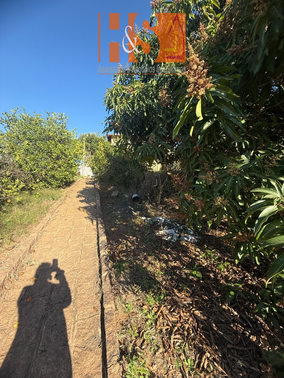 Sítio, 5 quartos, 2 hectares - Foto 188