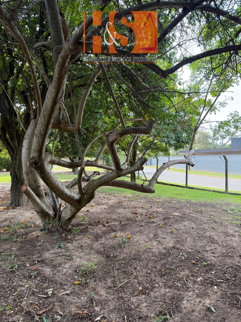 Chácara à venda com 1 quarto, 2492m² - Foto 30