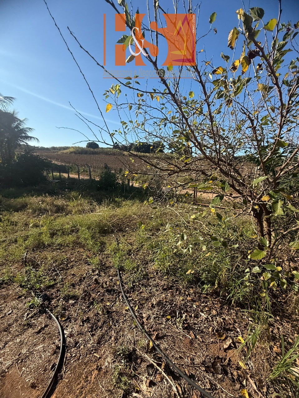 Sítio, 5 quartos, 2 hectares - Foto 185